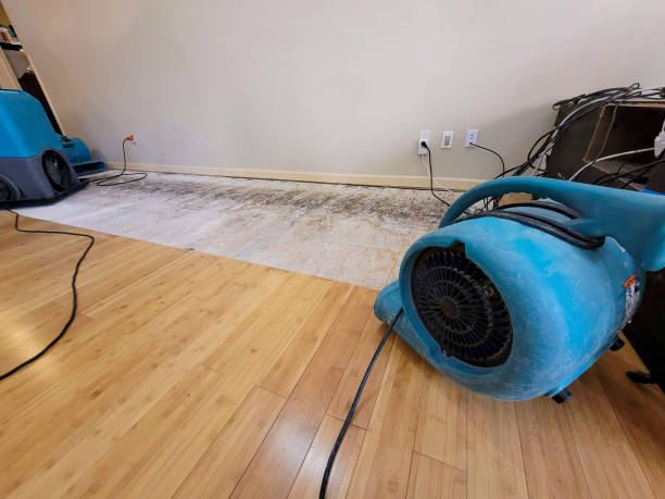 Professional Water Removal technician working in Kaweah, CA